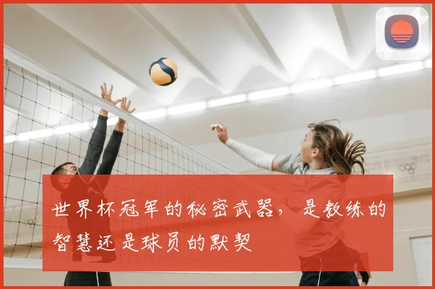 世界杯冠军的秘密武器，是教练的智慧还是球员的默契