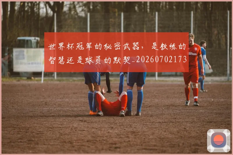 世界杯冠军的秘密武器,是教练的智慧还是球员的默契_20260702173732