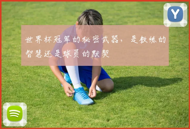 世界杯冠军的秘密武器，是教练的智慧还是球员的默契