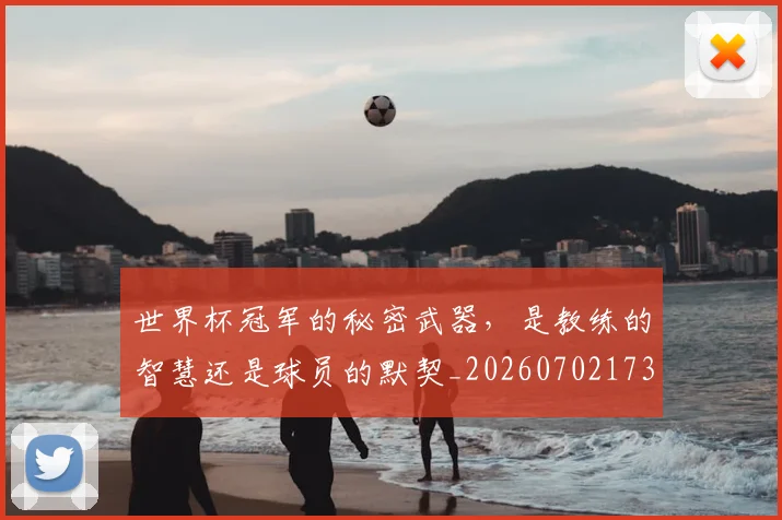 世界杯冠军的秘密武器,是教练的智慧还是球员的默契_20260702173732