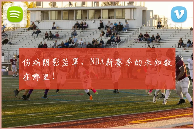 伤病阴影笼罩，NBA新赛季的未知数在哪里！