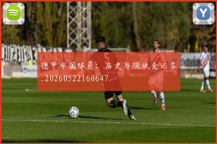 德甲中国球员:历史与现状全记录_20260522160647